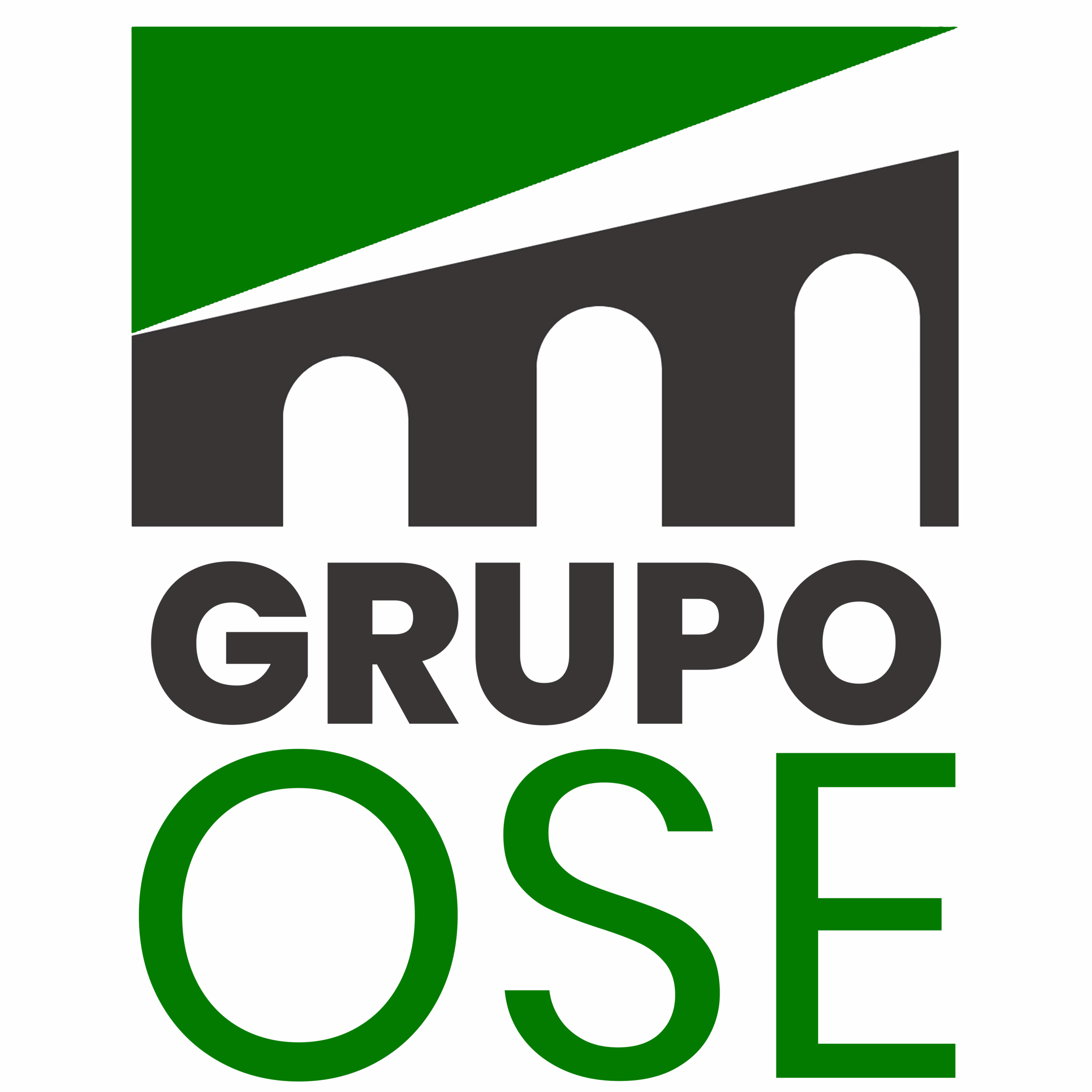 Grupo OSE Logo